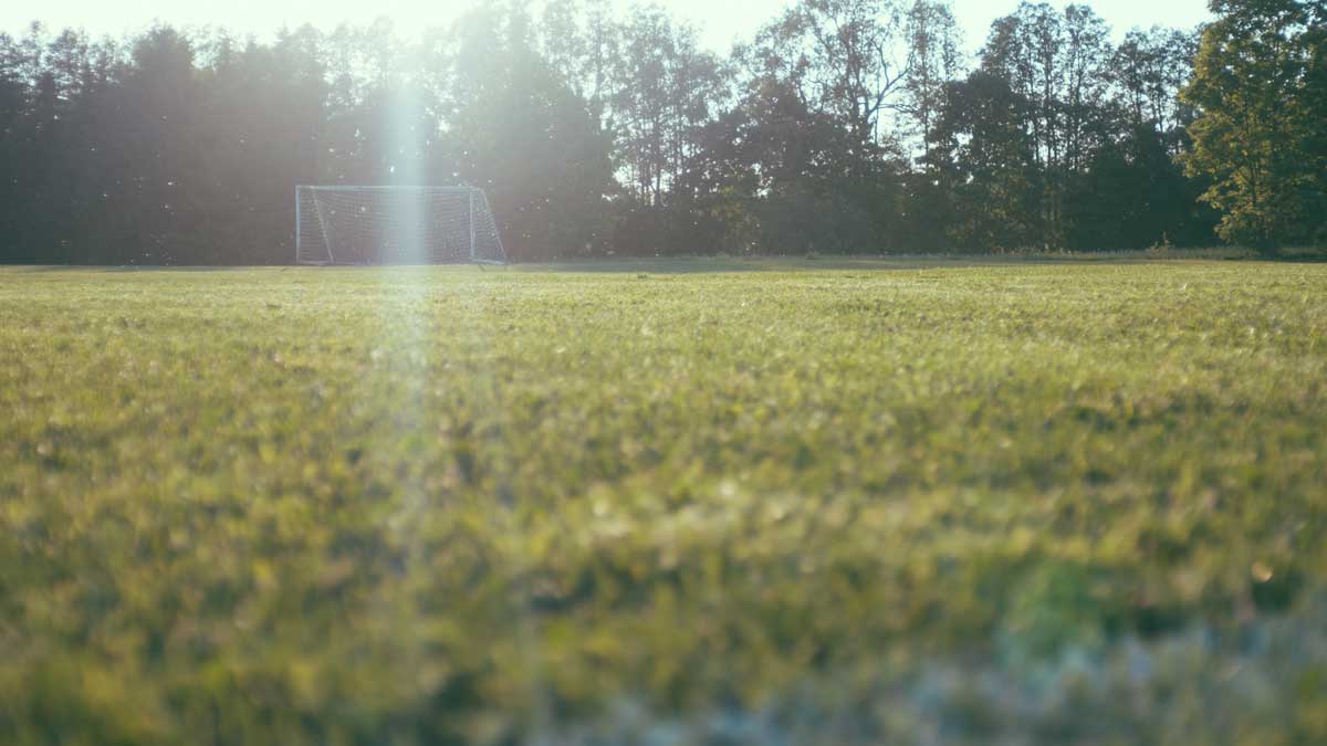 Soccer Pitch in the Sun