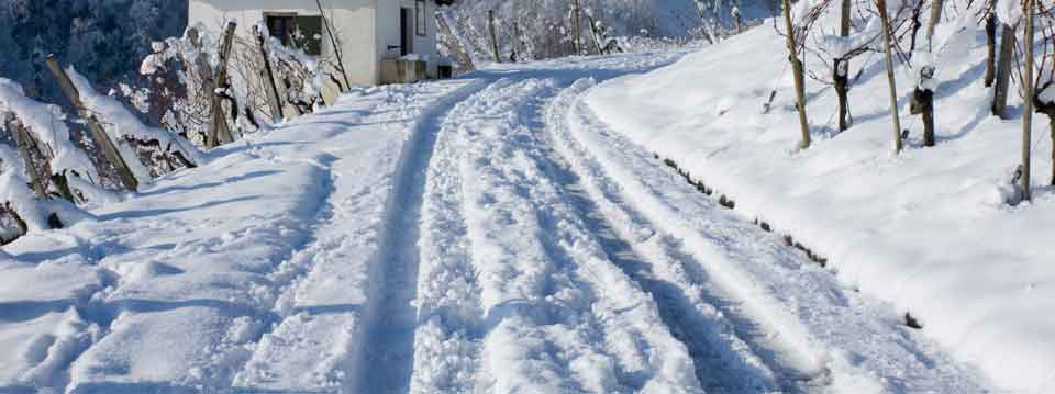 Snow Covered Road